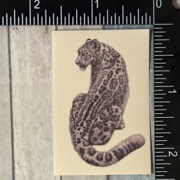 🌀10/$10🌀 Classic Vicious Cats Lion Tiger Cheetah Reusable Washi Sticker Decal - Picture 1 of 1